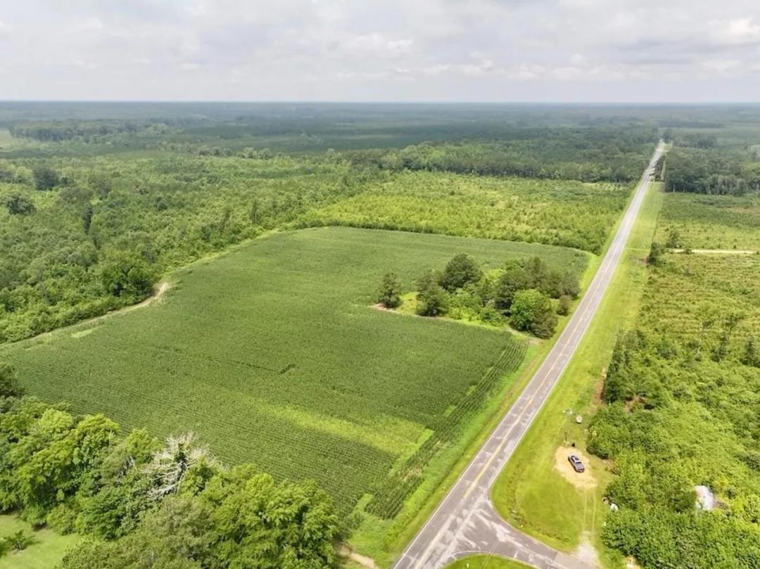 24.45 acres of Farmland & Timberland For Sale in Halifax County NC!