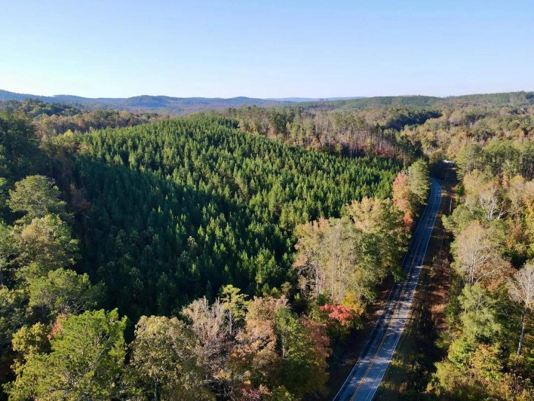Chandler Springs 20+/- ac