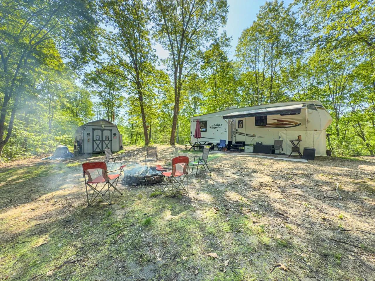 56231451-20