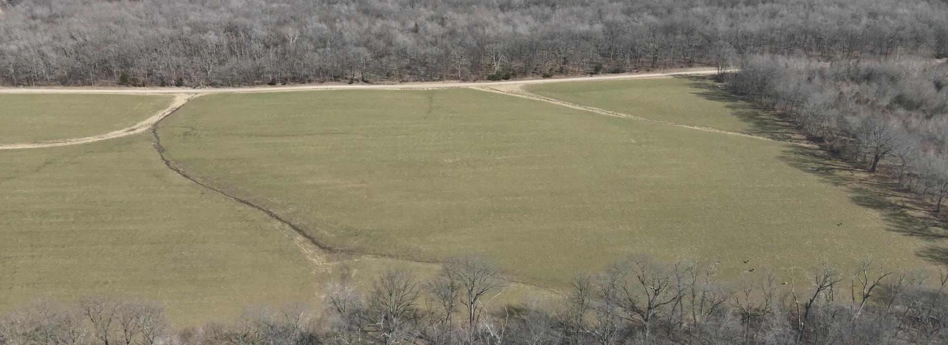 56233356-2