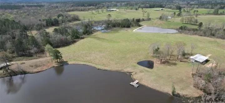 315 Acres in Jasper County in Pachuta, MS 