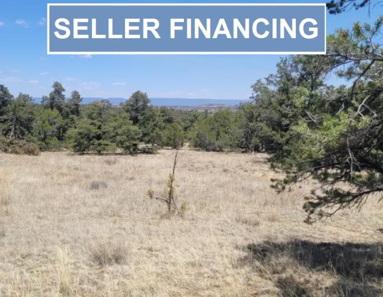 New Mexico, Cibola County, 3.01 Acre Jubilee Trails