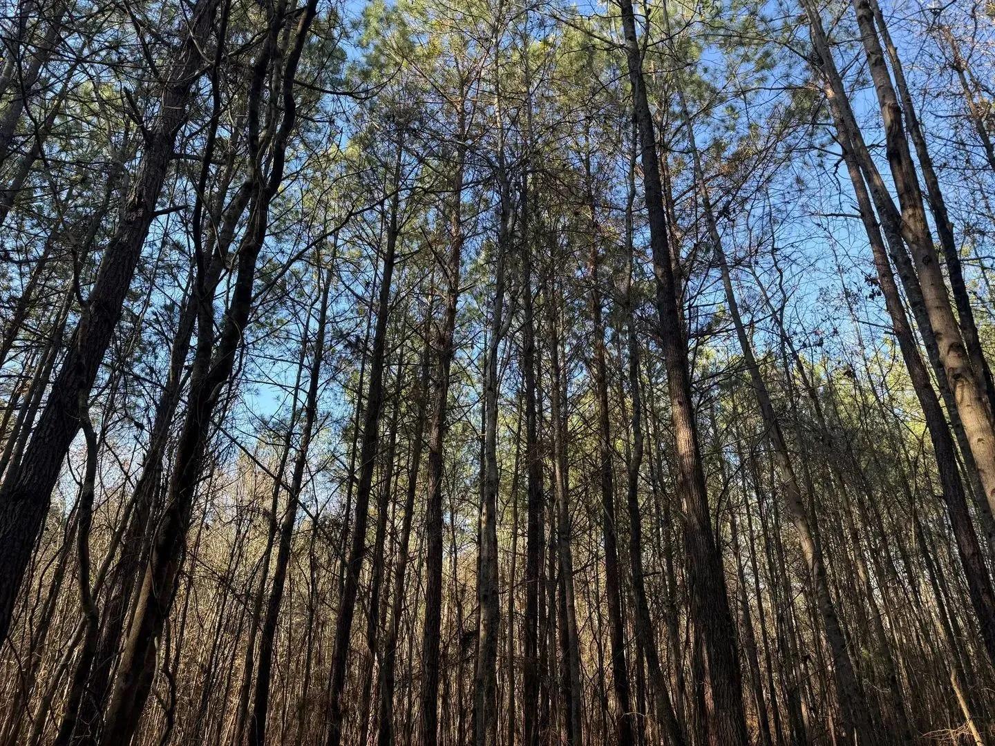 56281897-1
