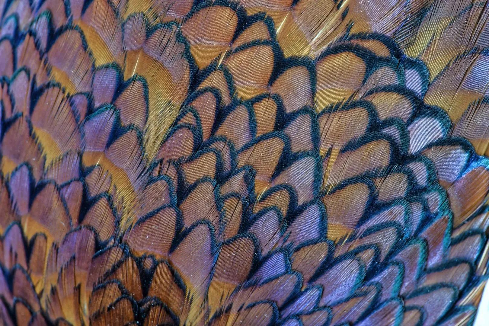 56357319-1