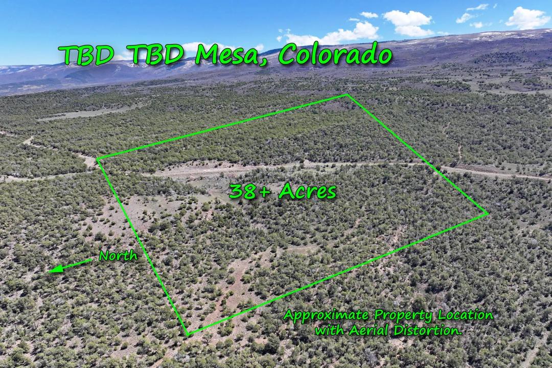 Colorado Mountain Vacant Land For Sale Bordering BLM Mesa County