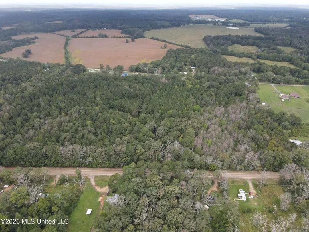Highway 35 Land for Sale, Forest, Scott County MS