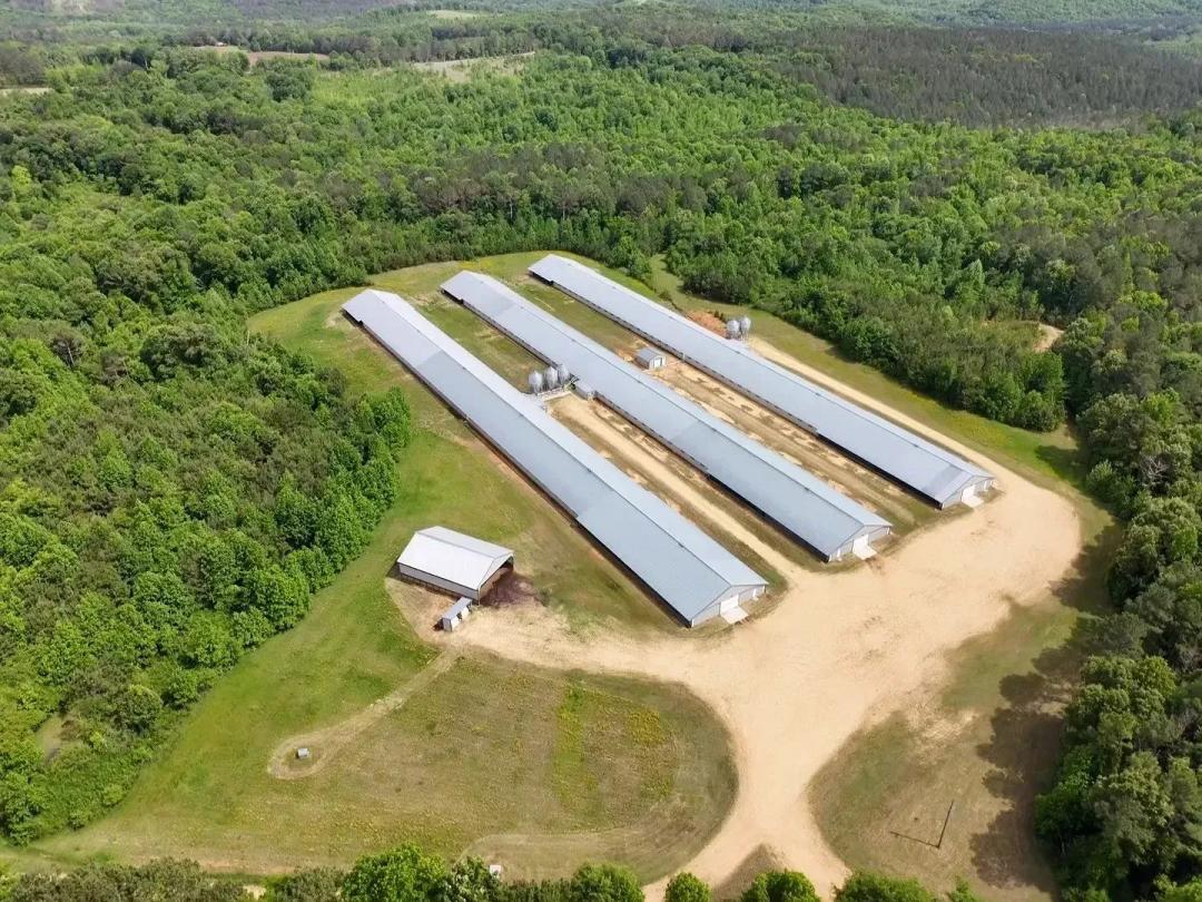 Highway 19 Broiler Farm – Three Super Houses in Franklin County, Alabama