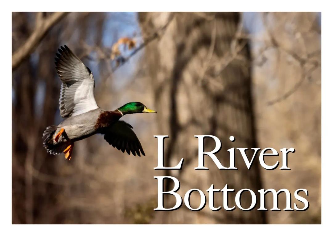 L River Bottoms