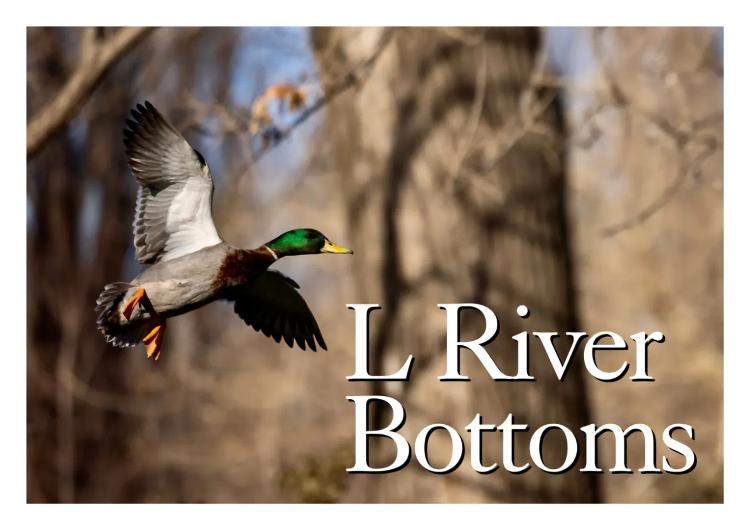 L River Bottoms