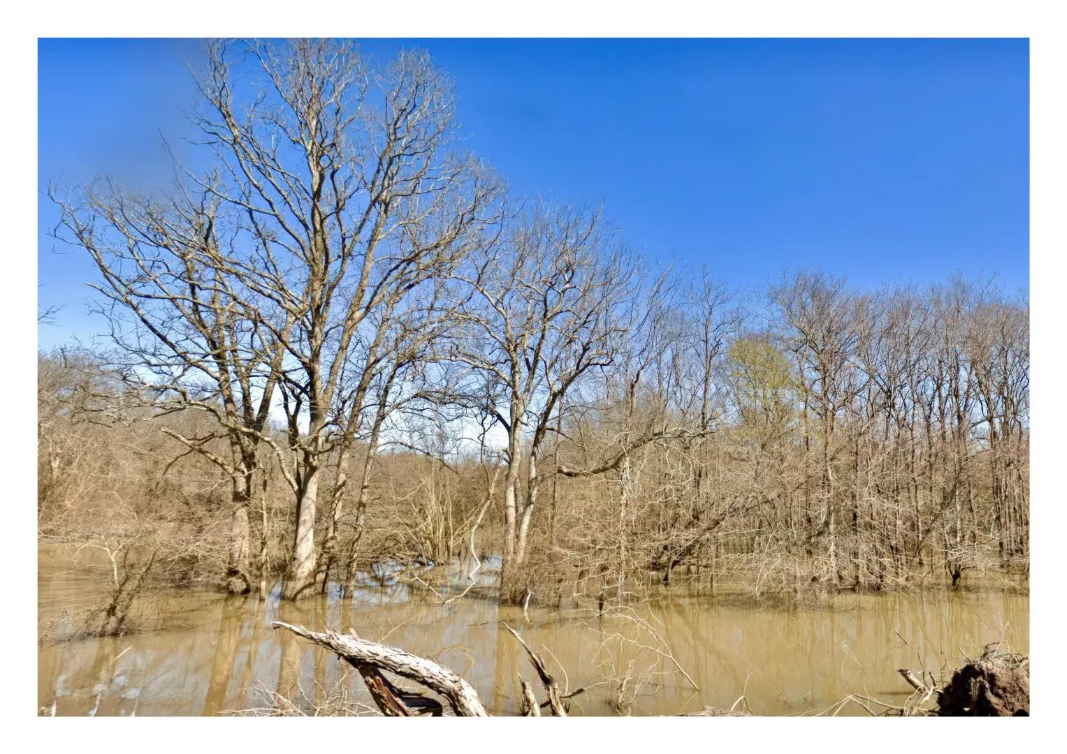 Land.com_Images14