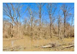 Land.com_Images15
