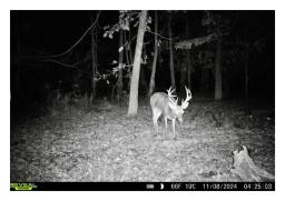 Land.com_Images27
