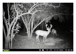 Land.com_Images28