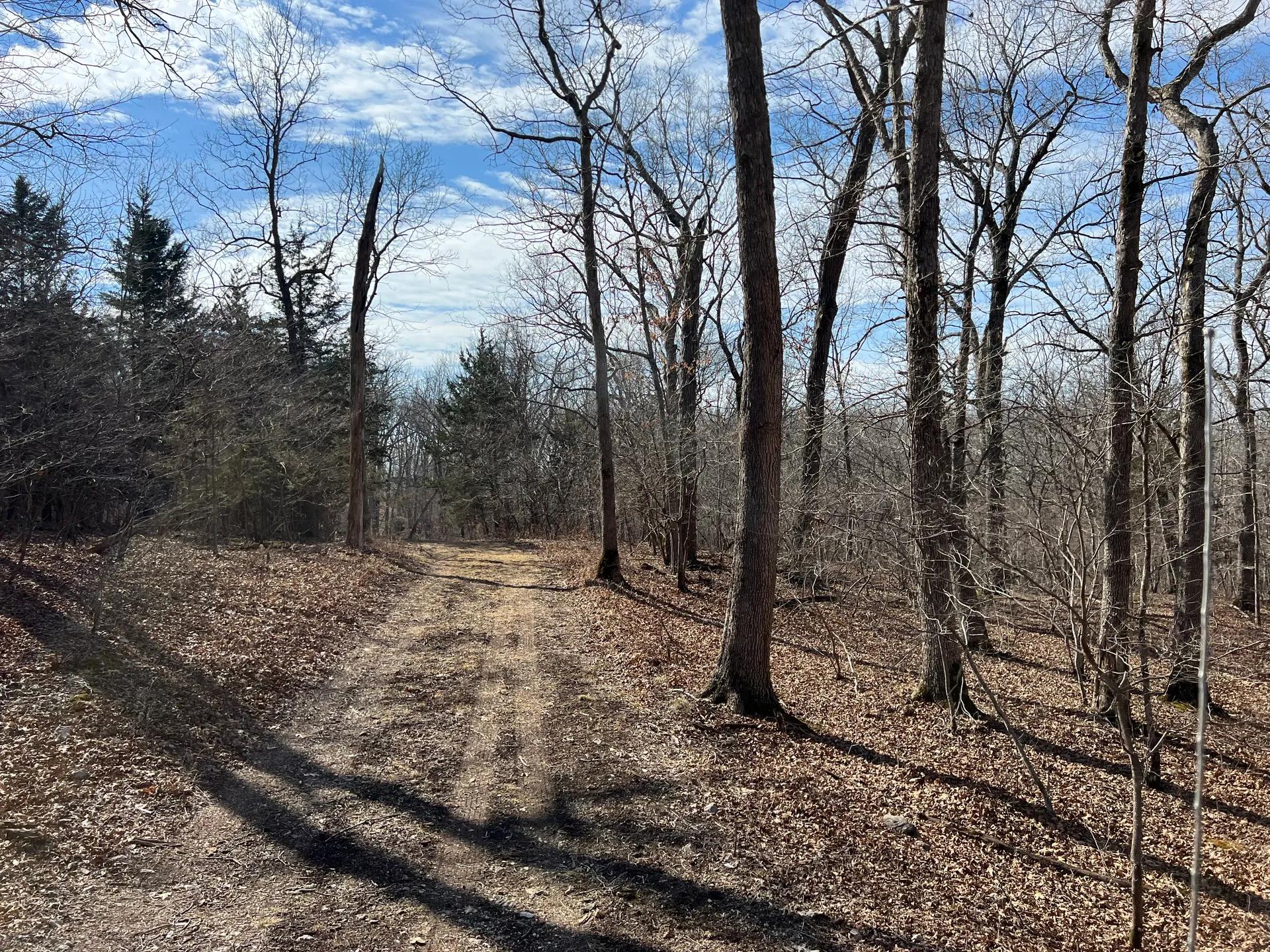 56472017-3