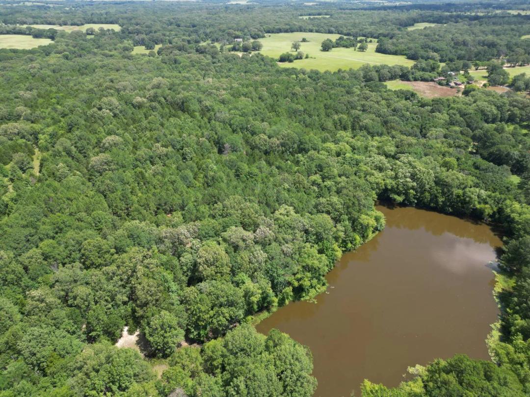 50 ACRES WITH ELECTRICITY &amp; ROAD FRONTAGE FOR SALE ANTLERS OKLA