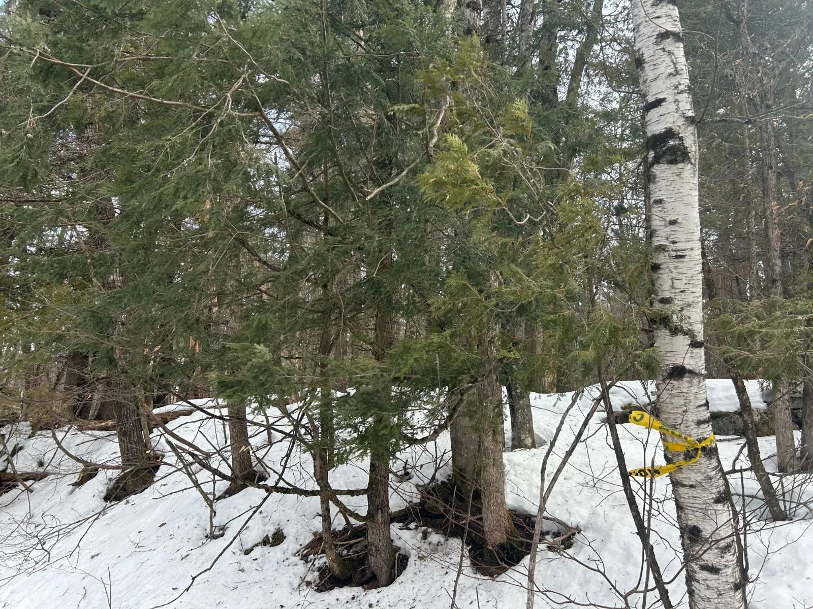 56498758-3