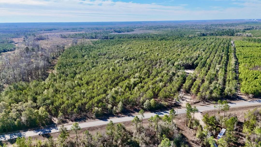 90 Acre Hunter's Retreat on Tillman Mill Creek	