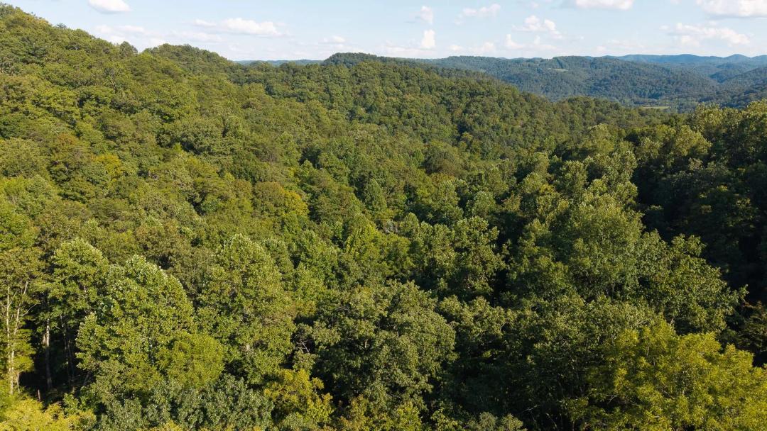 Appalachian Wilderness Hancock County TN