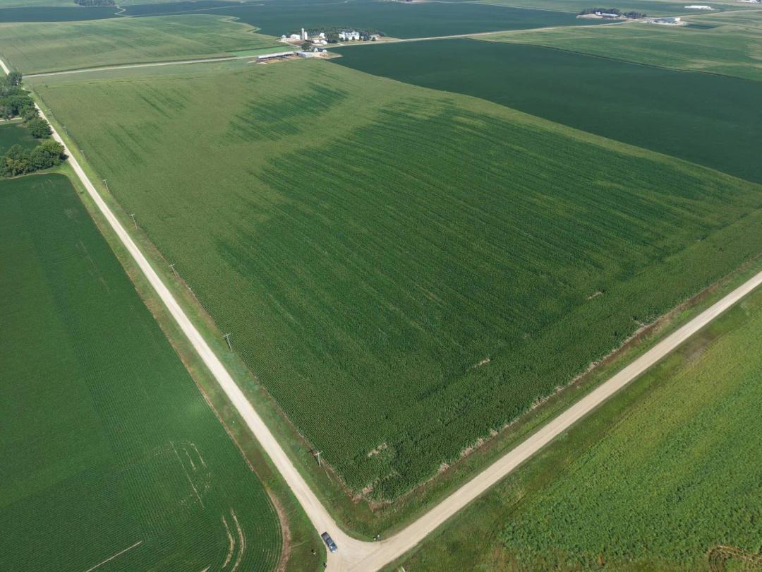 226.98 Acres at 0000 Hwy 75