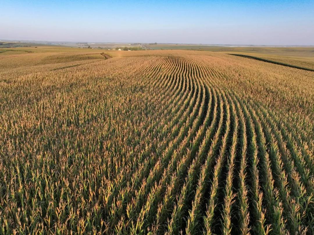 Listing #19796 - 40.14 acres in Woodbury County, IA