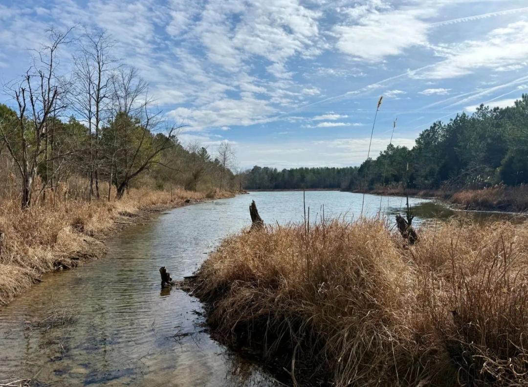 Jasper Homestead/Hunting/Recreational Tract