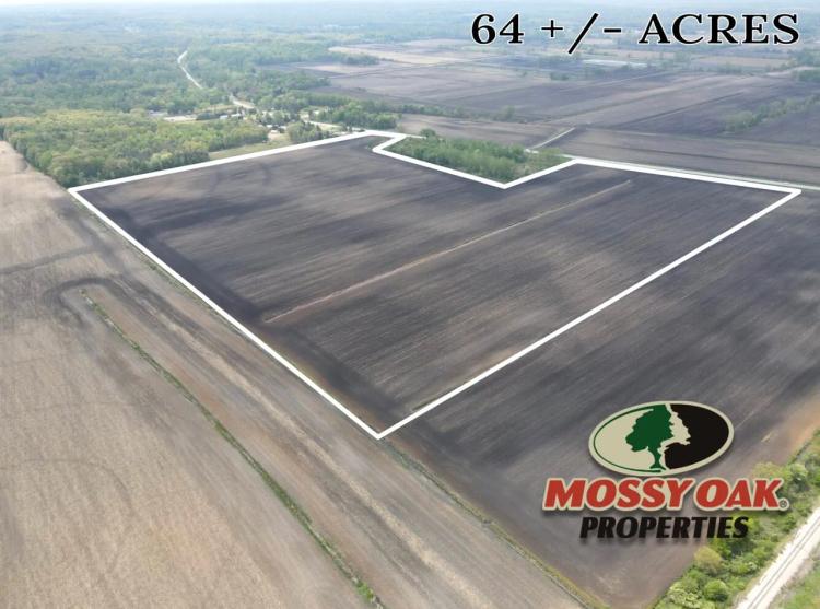 64 +/- ACRES / LAPORTE COUNTY / TILLABE / INVESTMENT / LAND FOR SALE