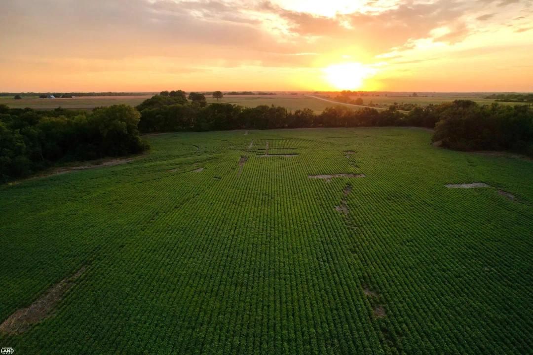 58 +/- Acres: Tillable, Timber, and Whitetail Hunting