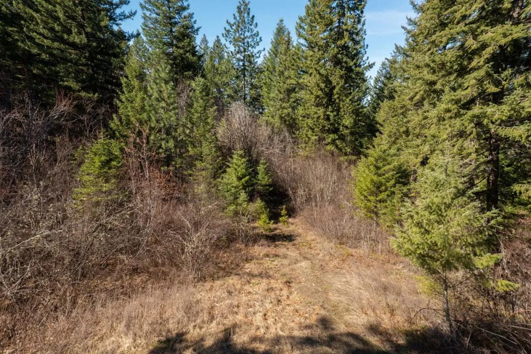 A Once-in-a-Lifetime Opportunity to Build Above the Ordinary — Creekside Acreage, Mountain Views, Freedom to Roam & Views That S