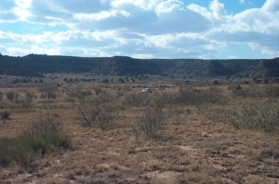 6 acres of peaceful New Mexico land—perfect for RVs, camping, or building.