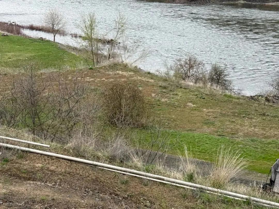 Buildable lot on the Salmon River