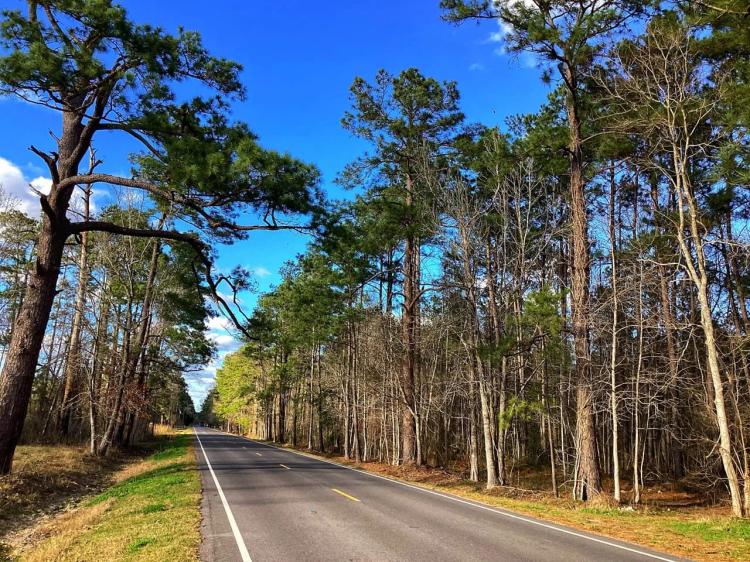 Green Moore Road Tract, Calcasieu Parish, 36 Acres ≠