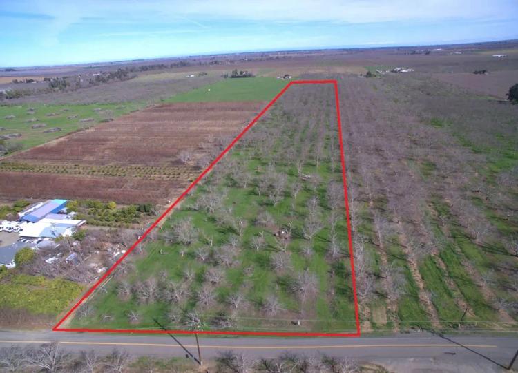 14 Acres of Land for Sale in Winters, CA - Orchard or Homesite!