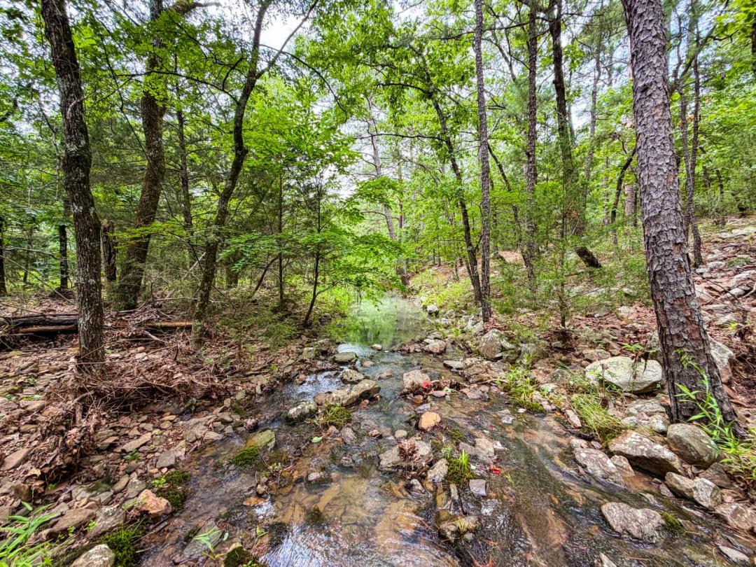 Wooded Creek Remote Tract