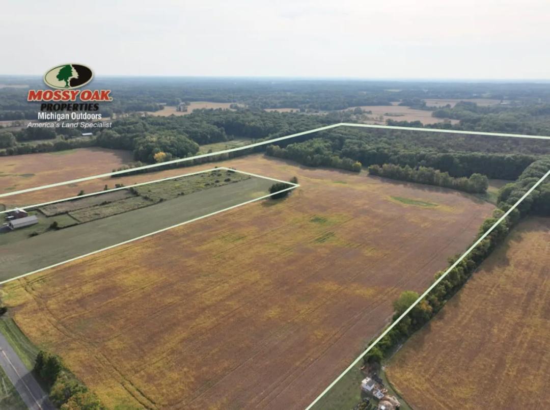 70 acres Broceus School Rd, Berrien County