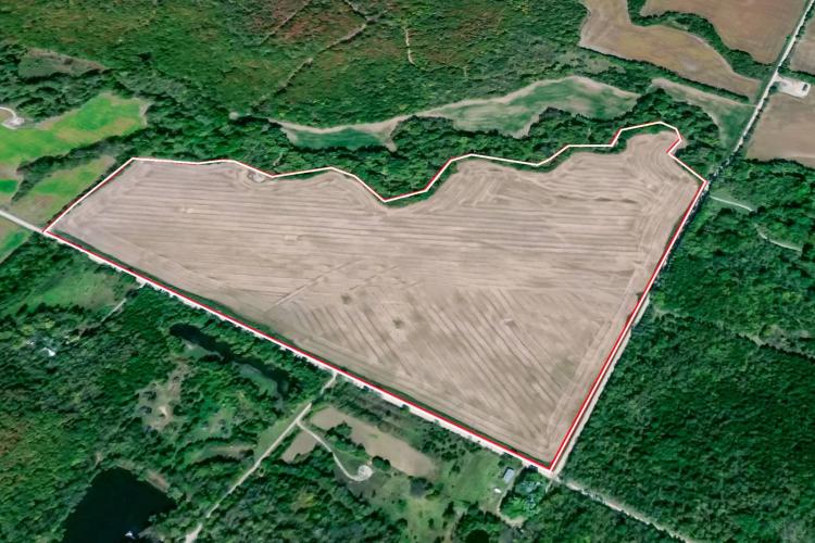 80 +/- Acre Creek Bottom Tillable Field Wilson County, Ks