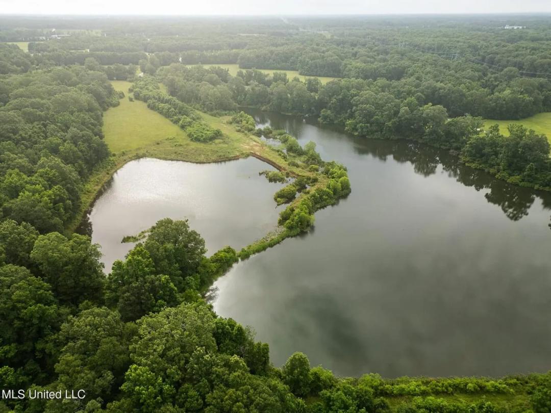Zachary 78 Acres With Lake in Port Hudson