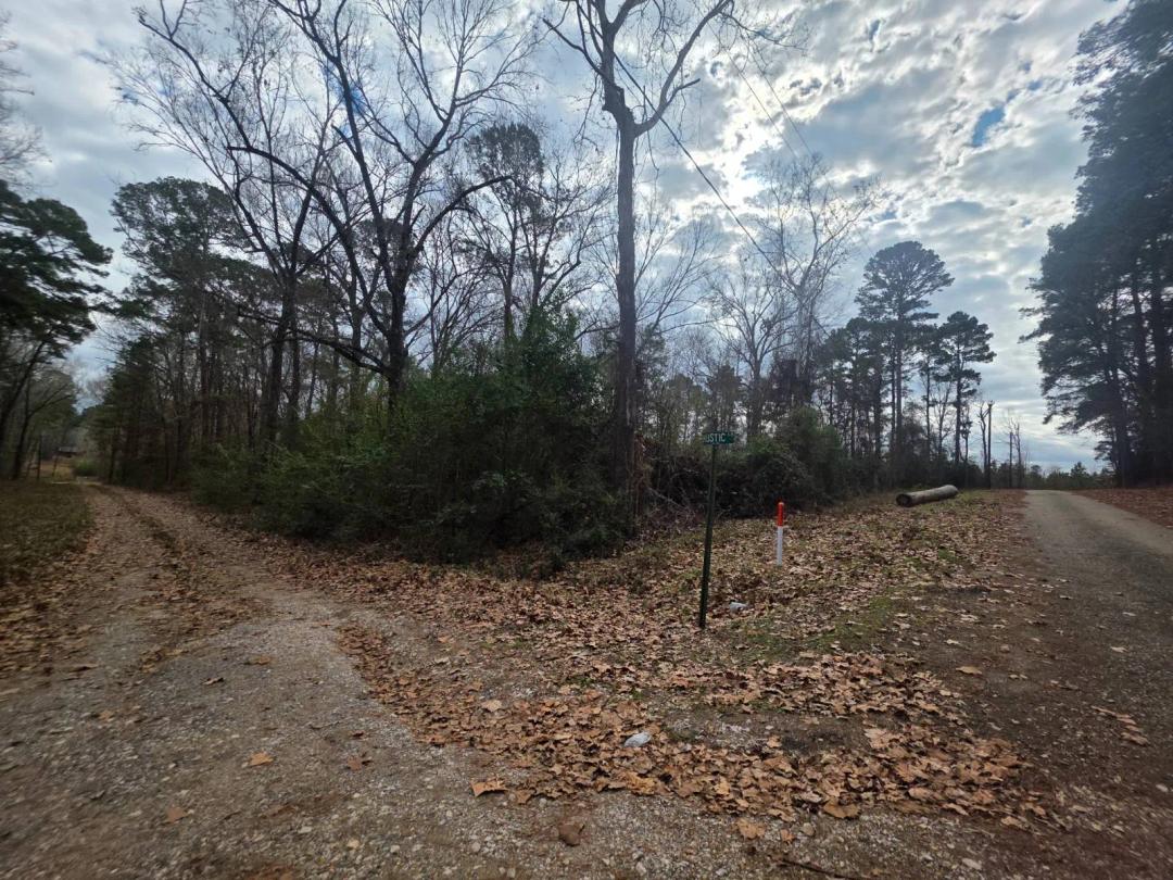 Unrestricted 6 Acres of Raw Land Near Toledo Bend Lake