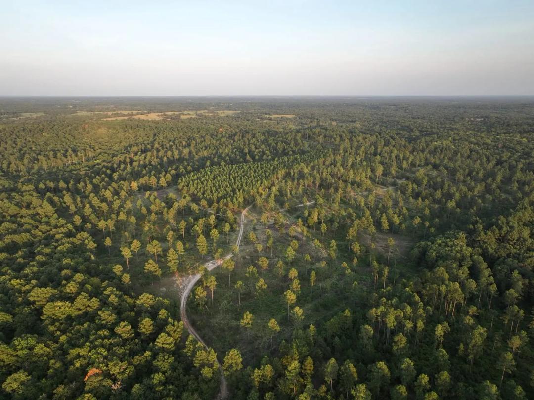 160 Acres of Deer and Turkey Hunting Paradise