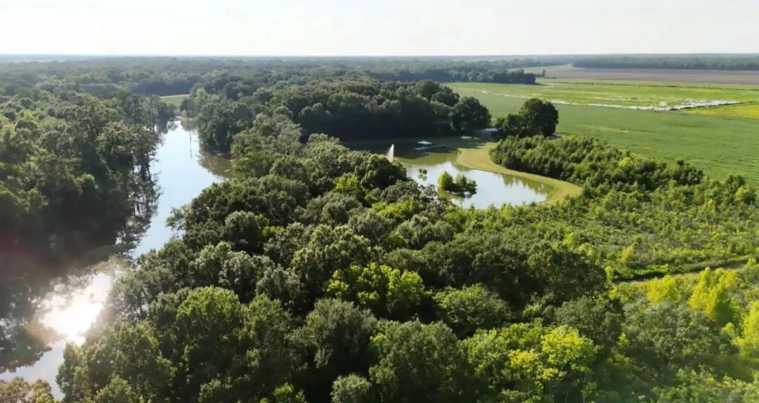 67.26 Acres at TBD Veazie Road