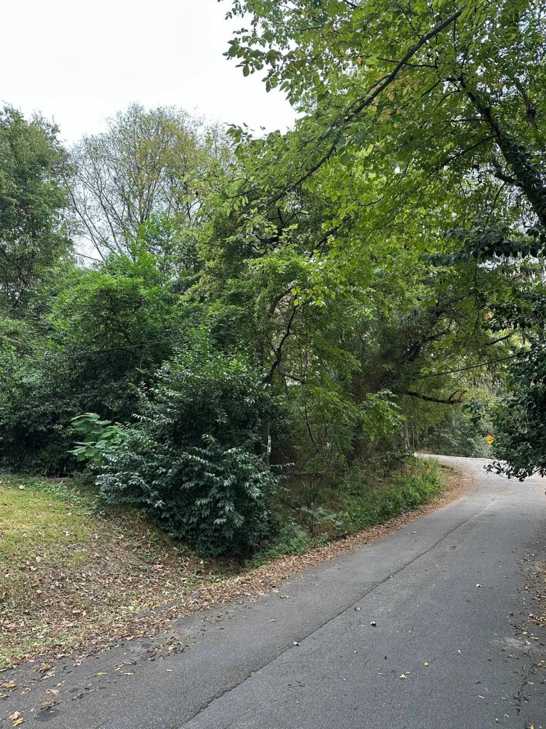 0.13 Acres at 2052 23rd Ave S