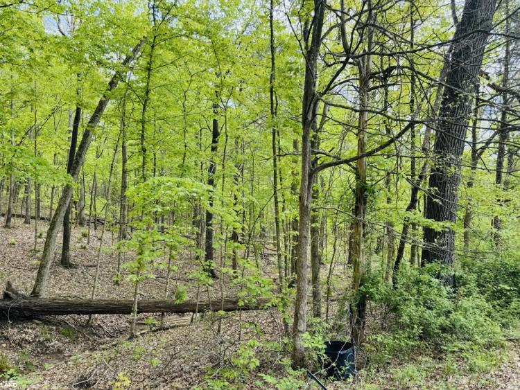 38.00 Acres at  approximately 450 Fisher Ridge Road