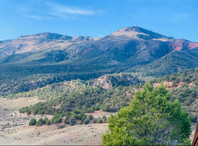 Yarmony Mountain Hunting Ranch