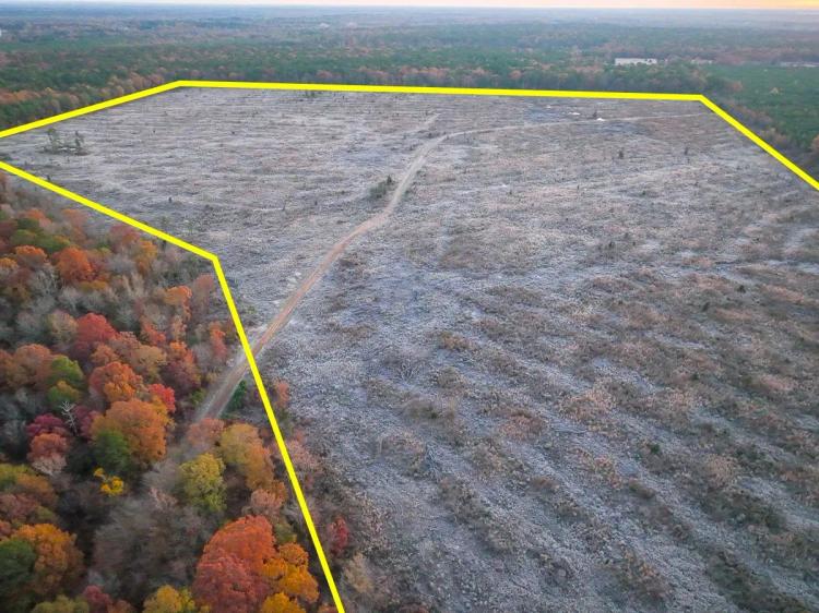 208 Acres | CR 2108 | Kiskadee