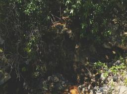 56920950-22