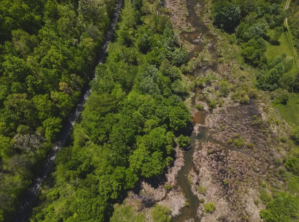 56920950-3