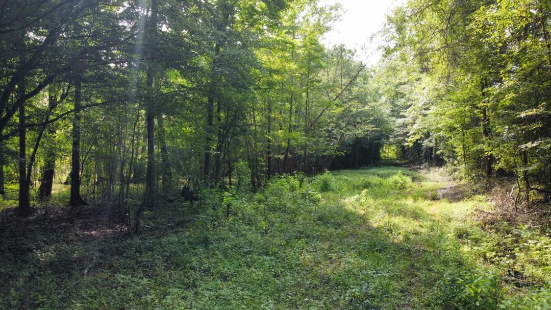 44.50 Acres at 0 Fivel Rd