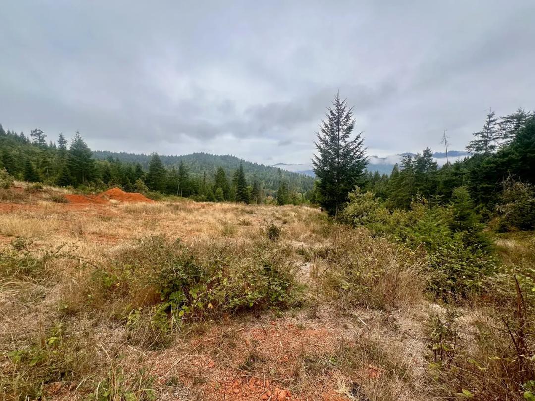 780 Tunnel Rd. Glendale, OR 97442