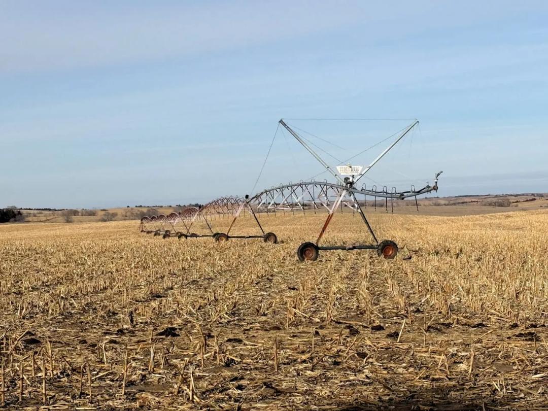 310 Acres +/- Antelope Co. Farmland & Pasture TRACT #2