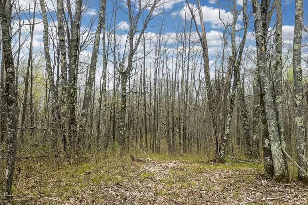 2.03 Acres | Washburn County, WI | Limited Release