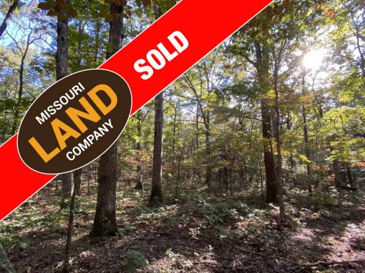 Phelps County Timbered Acres